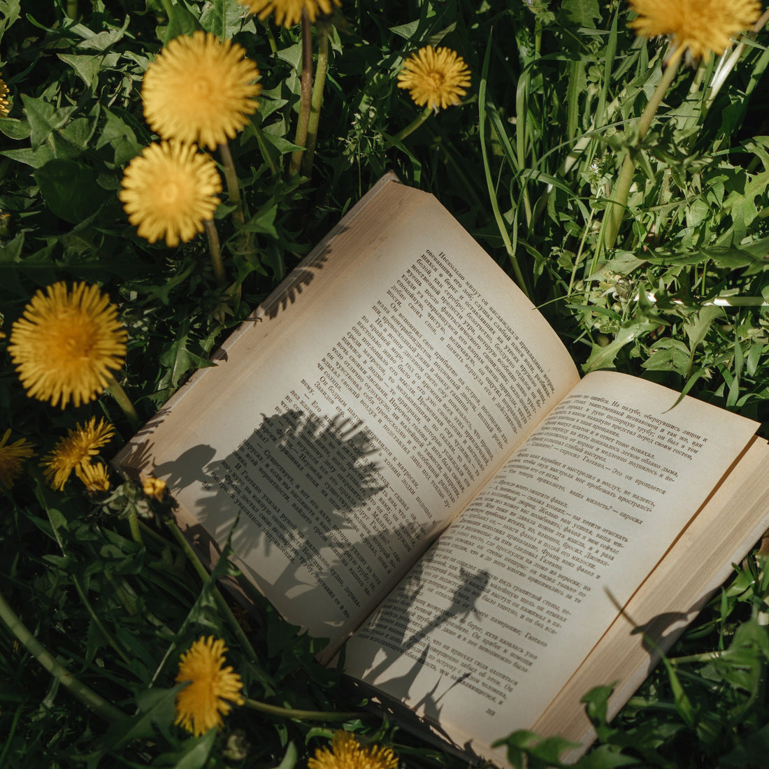Top 10 Books to Boost Your Mood and Improve Wellness
